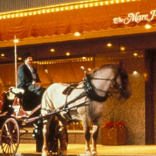Horse and buggy outside of the Hilton Milwaukee City Center
